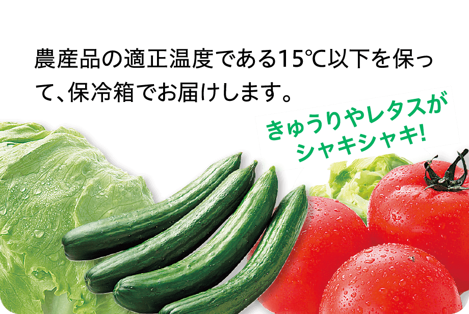 10℃以下を保って、保冷箱でお届けします。牛乳やたまごがひ〜んやり